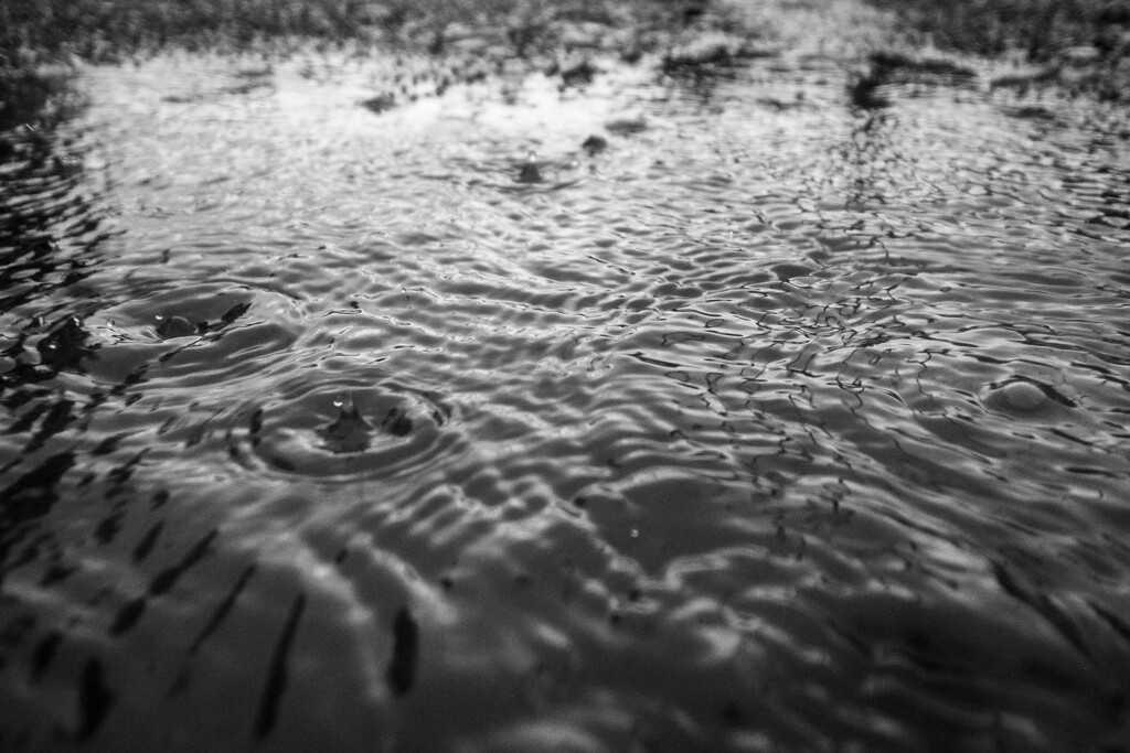 水溜りに落ちる雨粒
