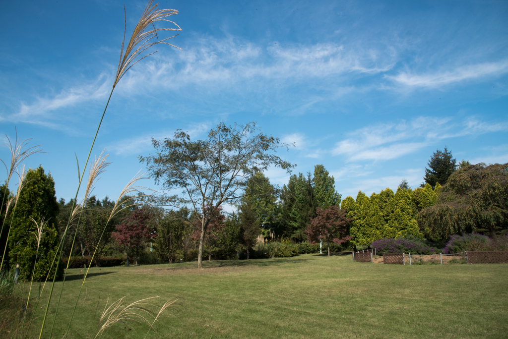 晴れた日に（２）