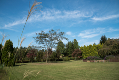 晴れた日に（２）