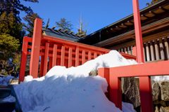 雪に映える 雪に映える