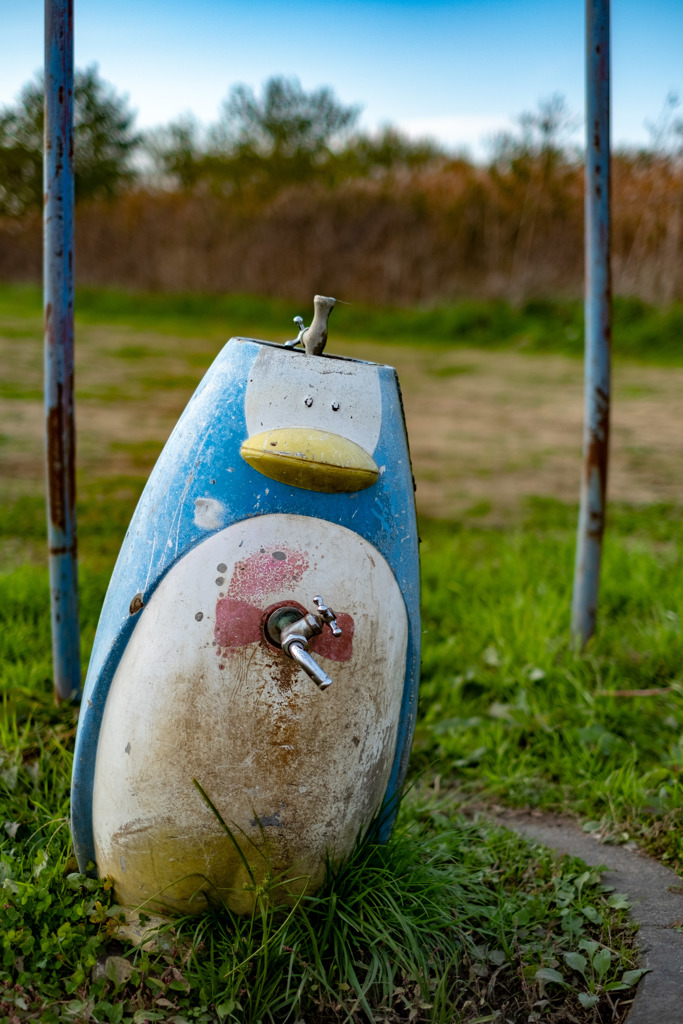 給水ペンギン？