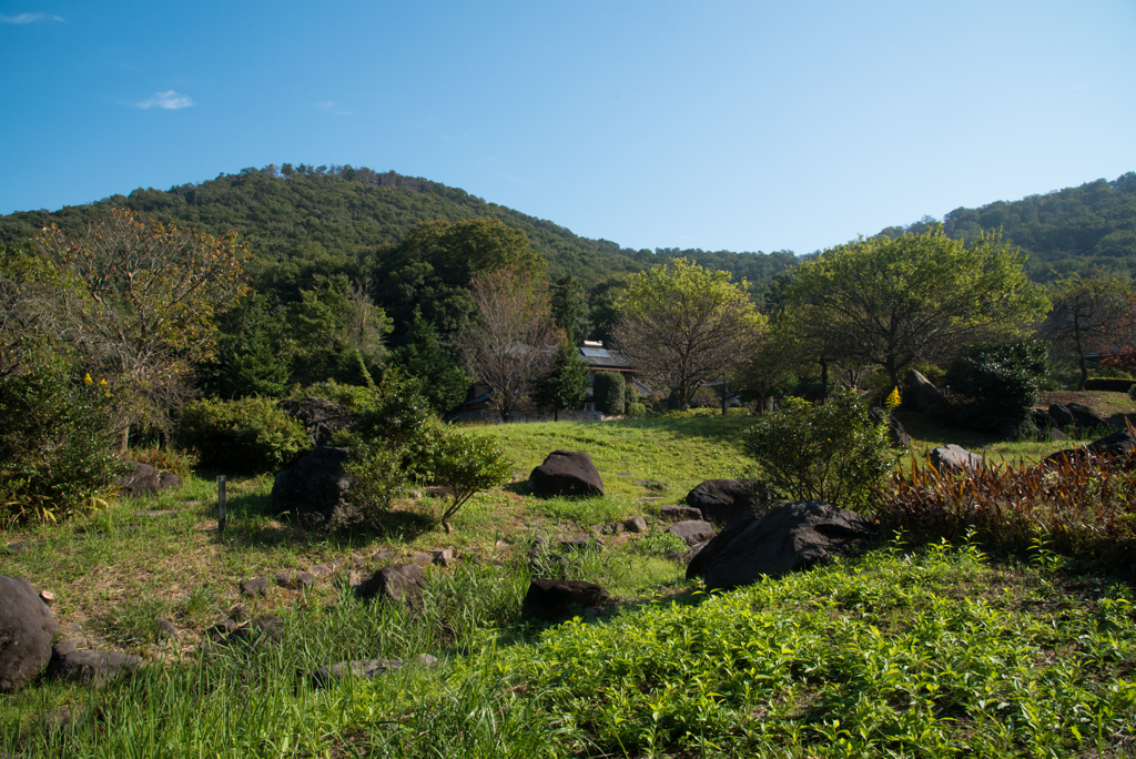 晴れた日に（１）