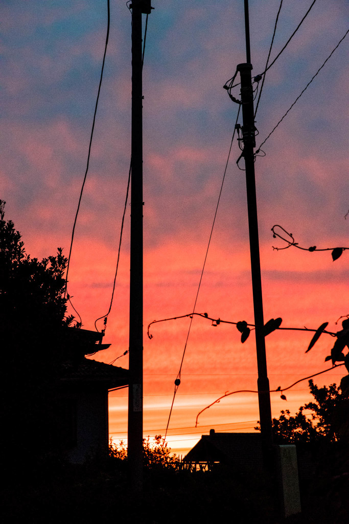 20150609-DSC_0872