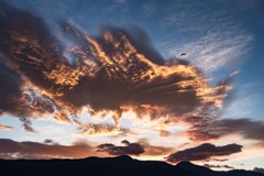朝焼け空を舞う
