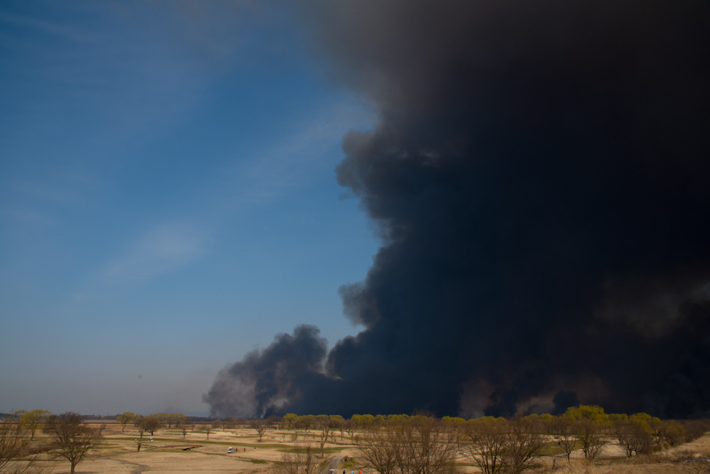 野焼きの日（渡良瀬遊水地）
