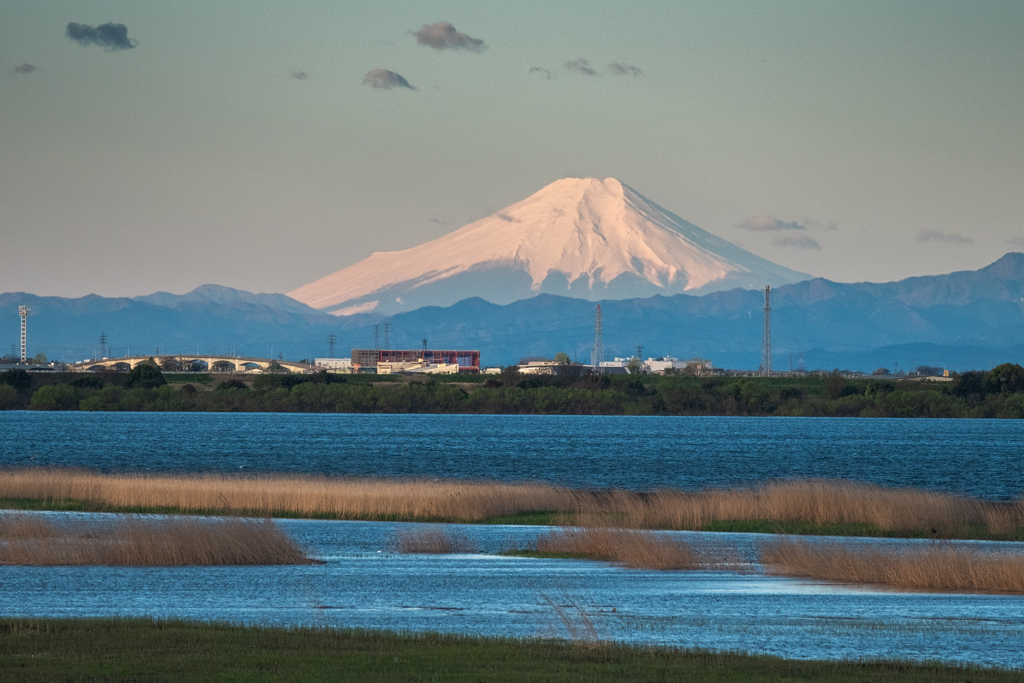 遊水地と富士山