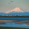 遊水地と富士山