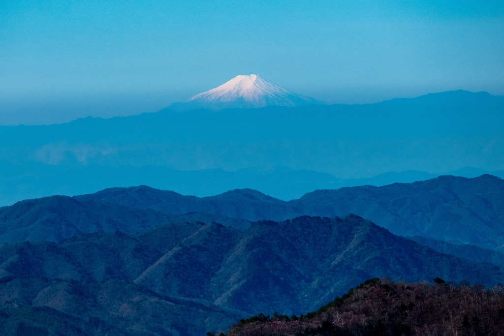 富士山