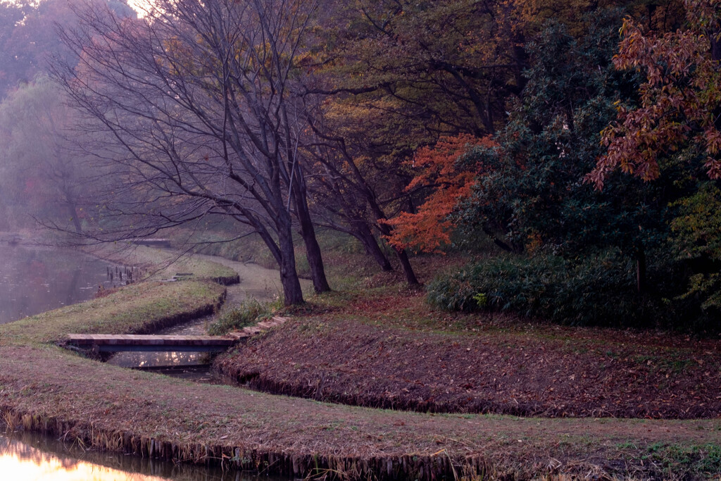 早朝の公園