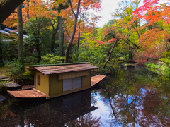 根津美術館庭園１