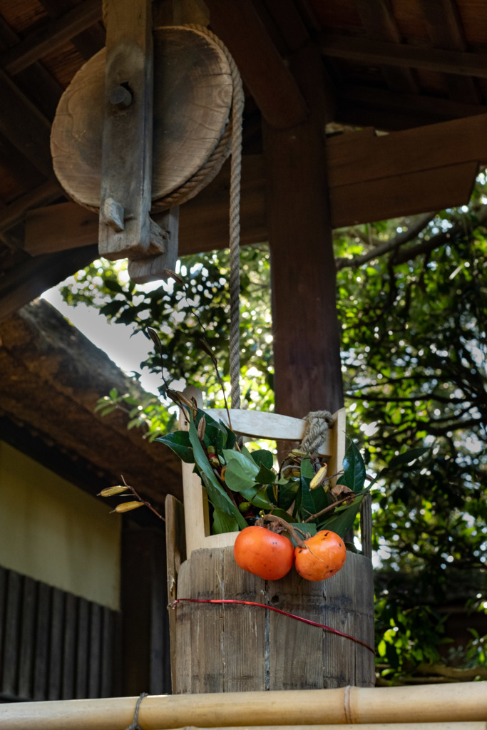 井戸