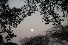 朝の月