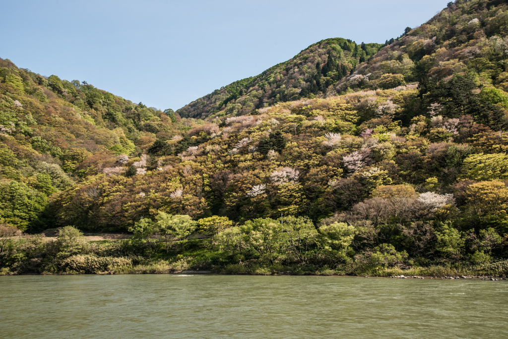 最上川