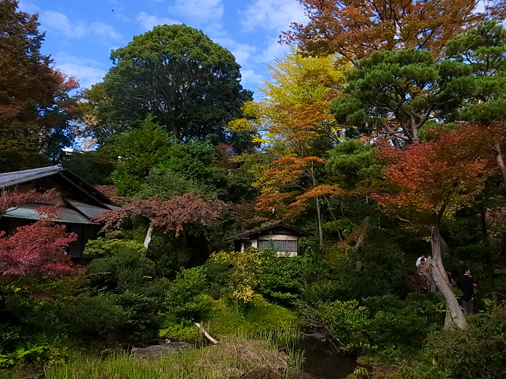 根津美術館庭園２