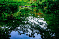 揺らめく水面
