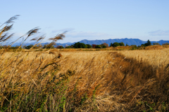 草原は朝日を受けて