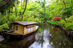 初夏の雨