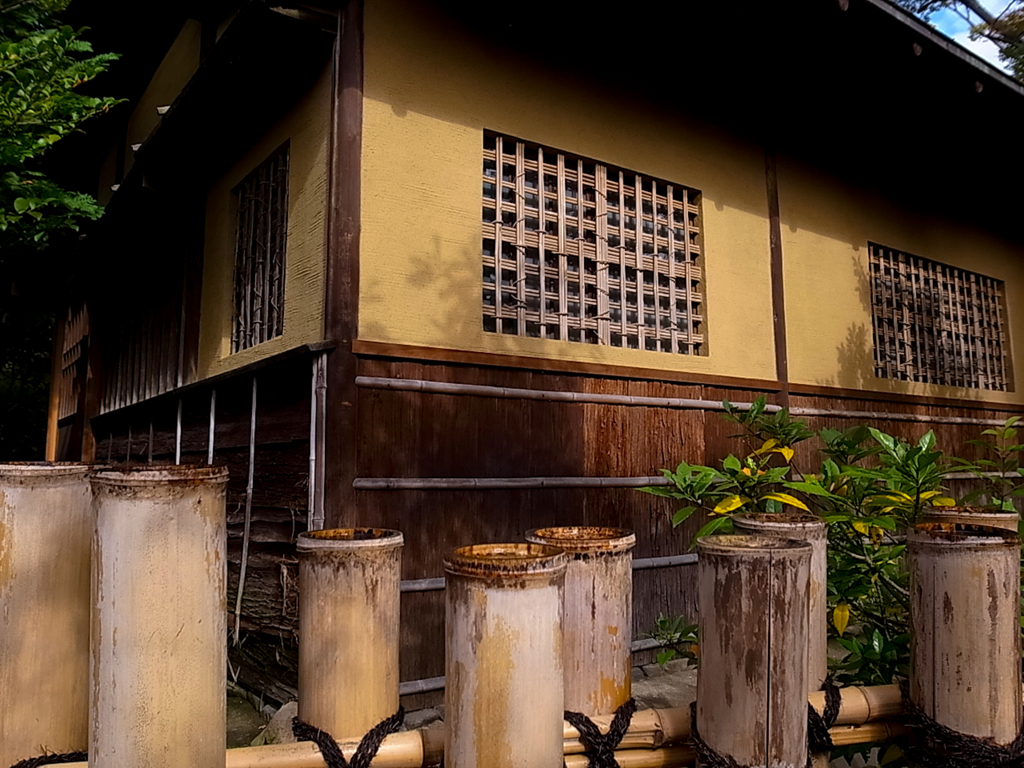 秋の陽に照らされて