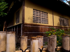 秋の陽に照らされて