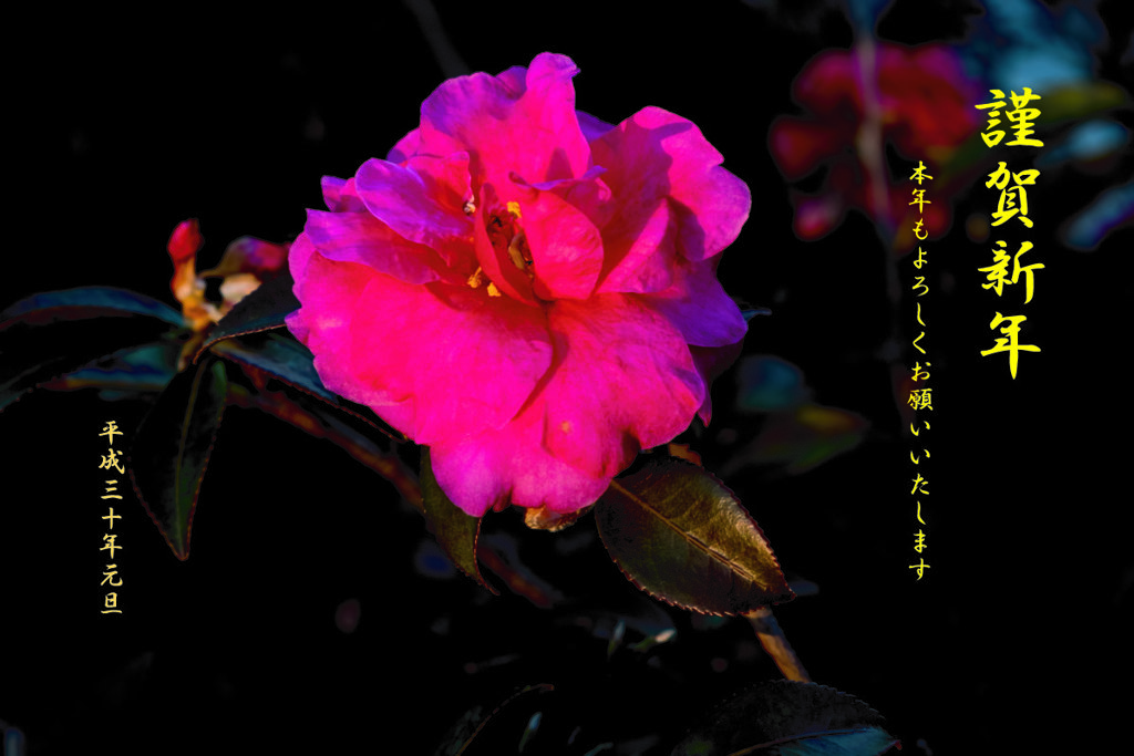 謹賀新年