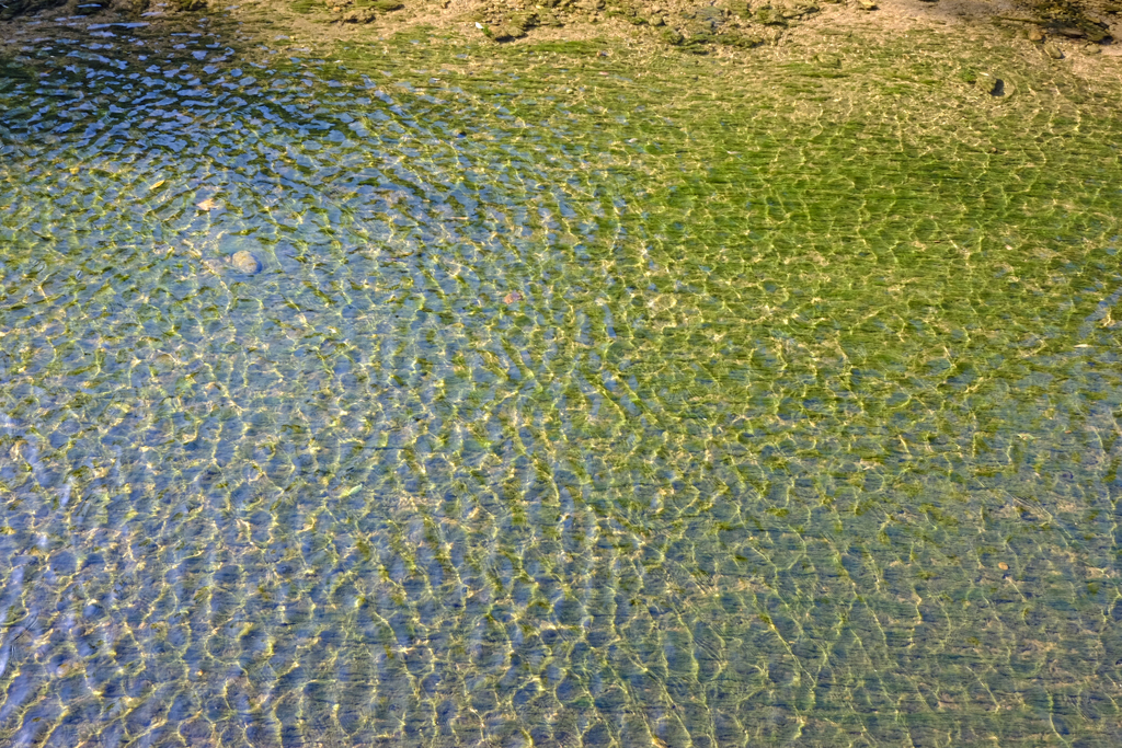 水面