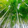 天までとどけ