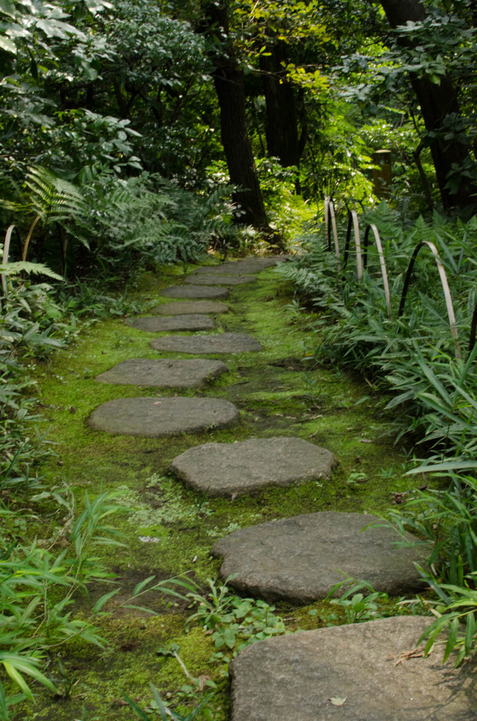 庭園の小道