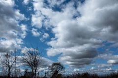 今日の空