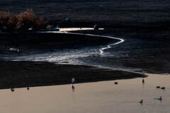 水を抜かれた遊水地