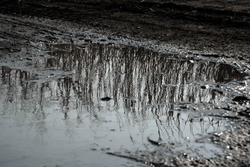 リフレクション