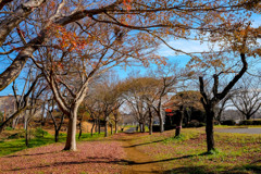 お日様のぬくもり