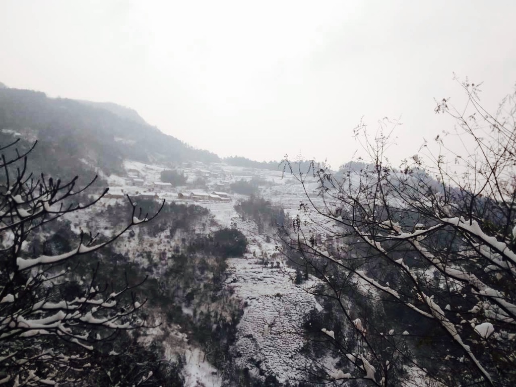 雪