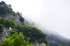チャームあまりに青山