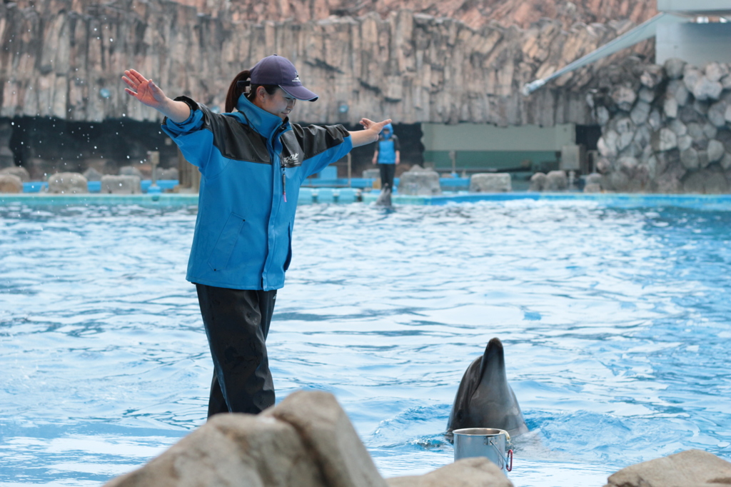 名古屋港水族館_03