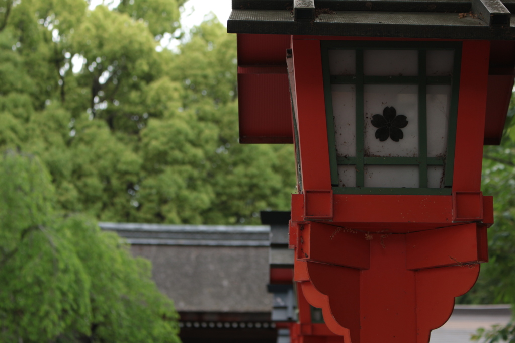 平野神社.01
