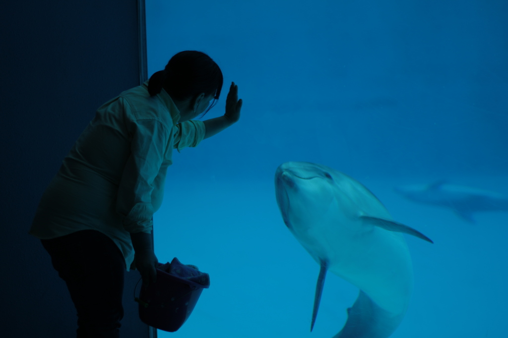 名古屋港水族館_01