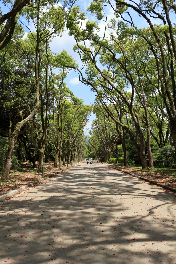 京都府立植物園.04