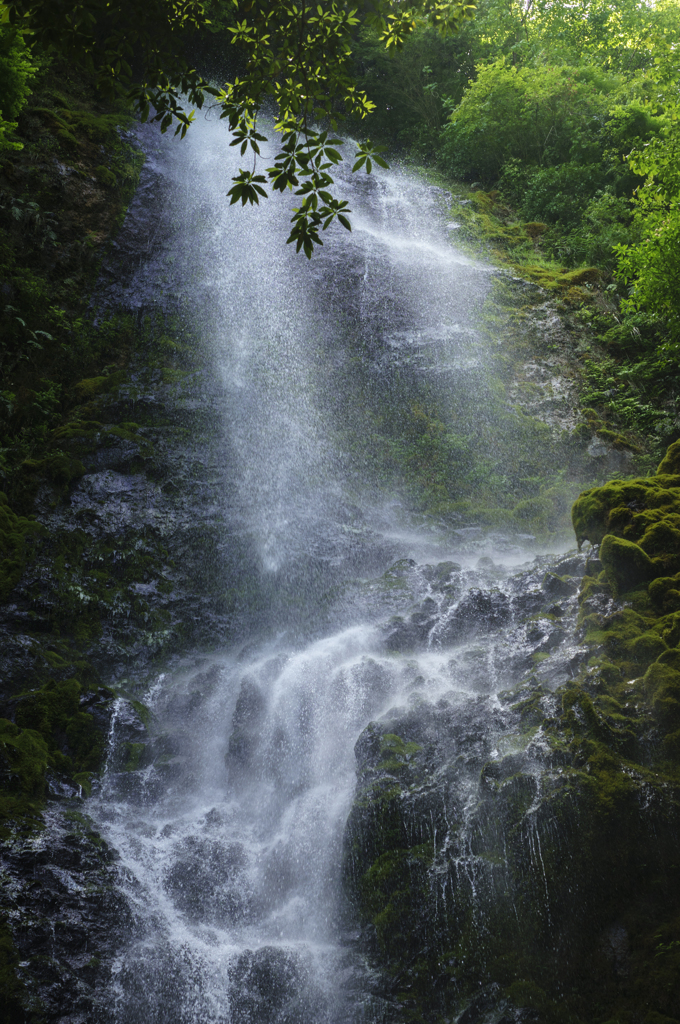 乙原の滝 カメラの故障の心配より 好奇心が勝った編 By さよならフォトヒト Id 写真共有サイト Photohito