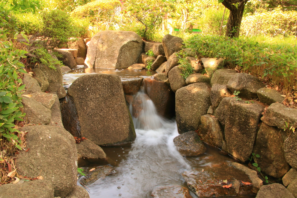公園の川