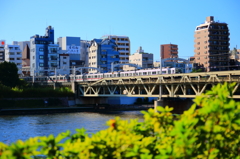 隅田川⑤　電車