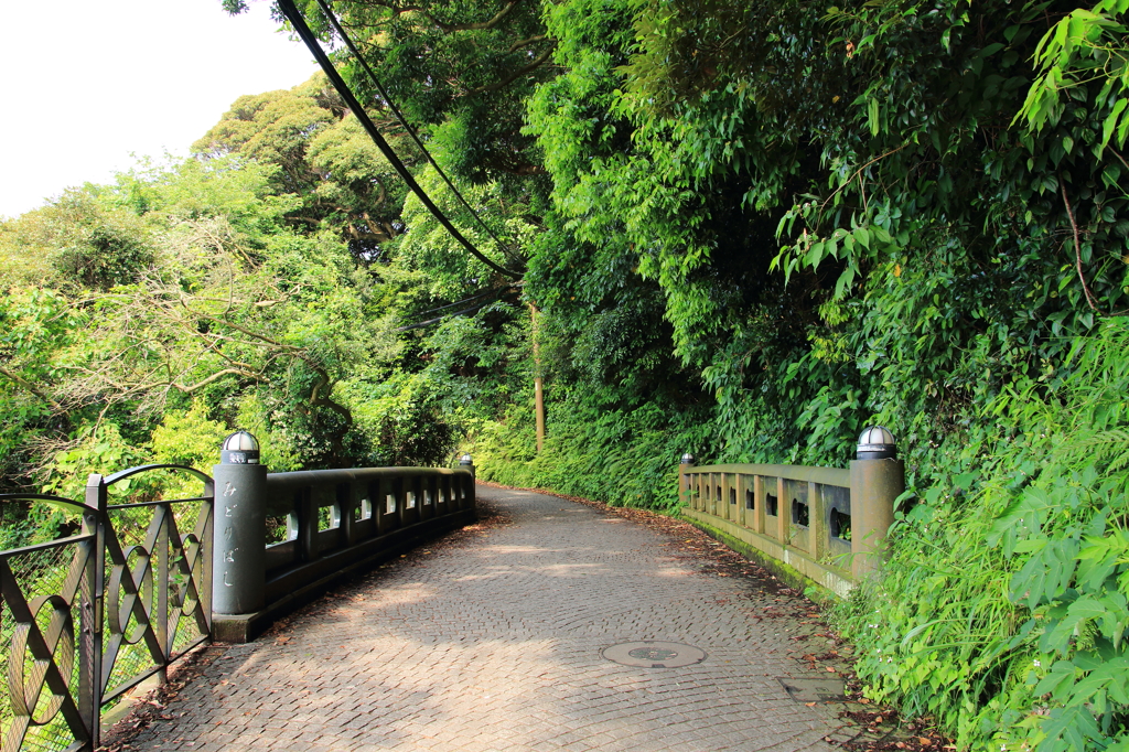 橋