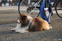 つかれた～