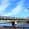 隅田川②