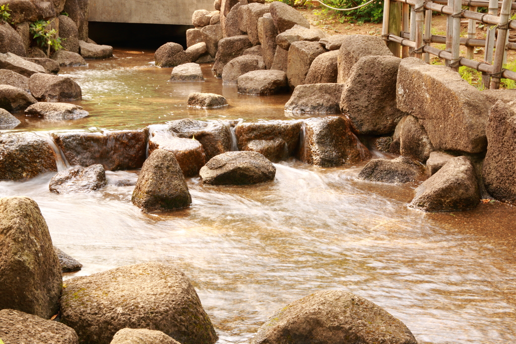 公園の川-2