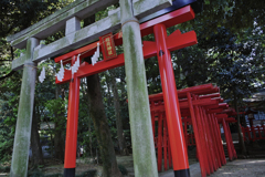 大宮　氷川神社