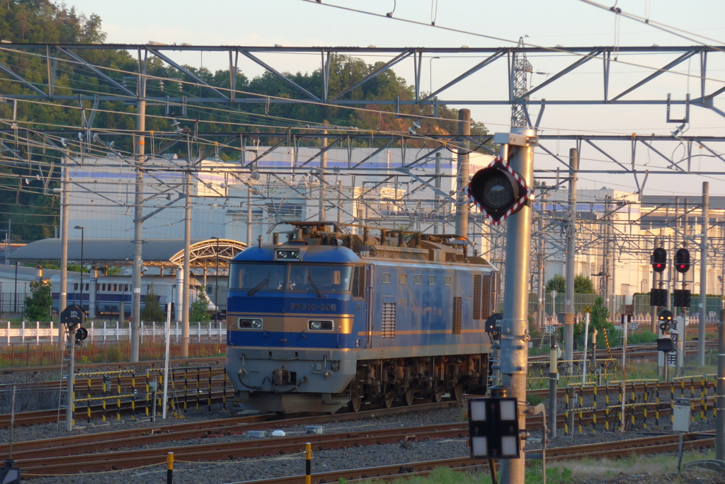 米原へやってきた北斗星の電気機関車