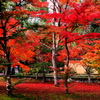 紅葉