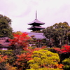 仁和寺