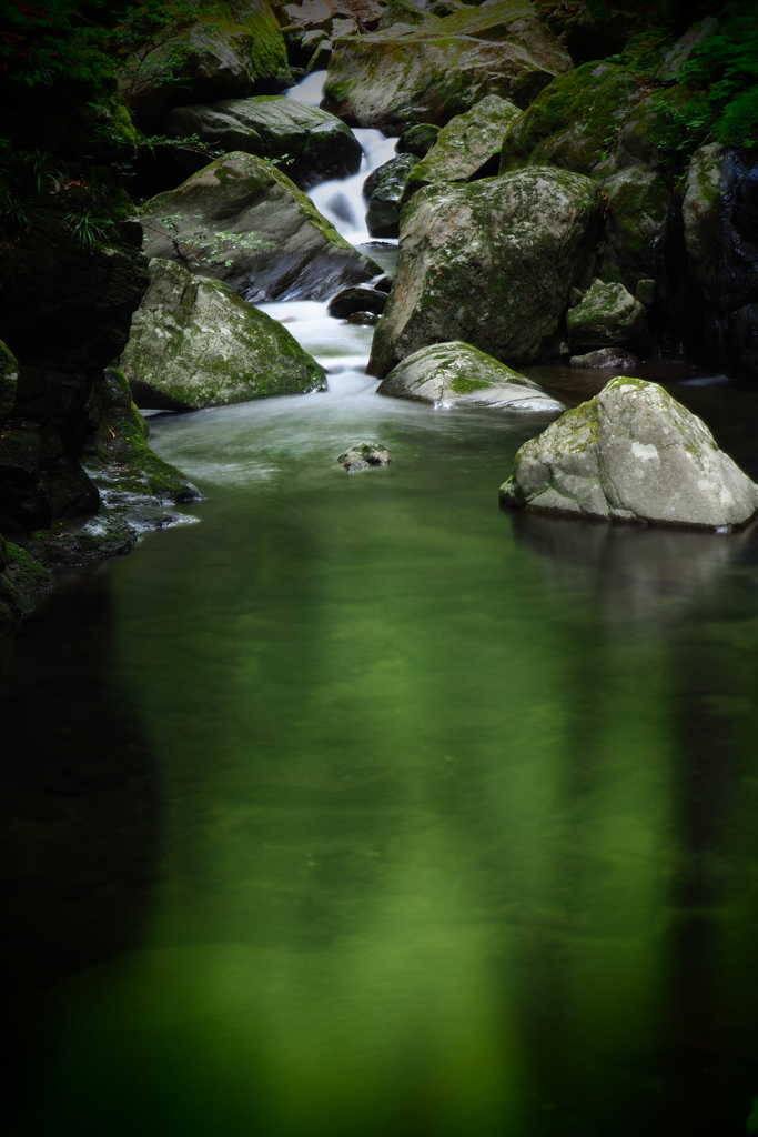 深緑静流