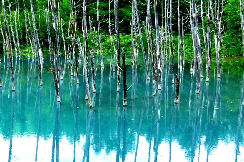 青い池